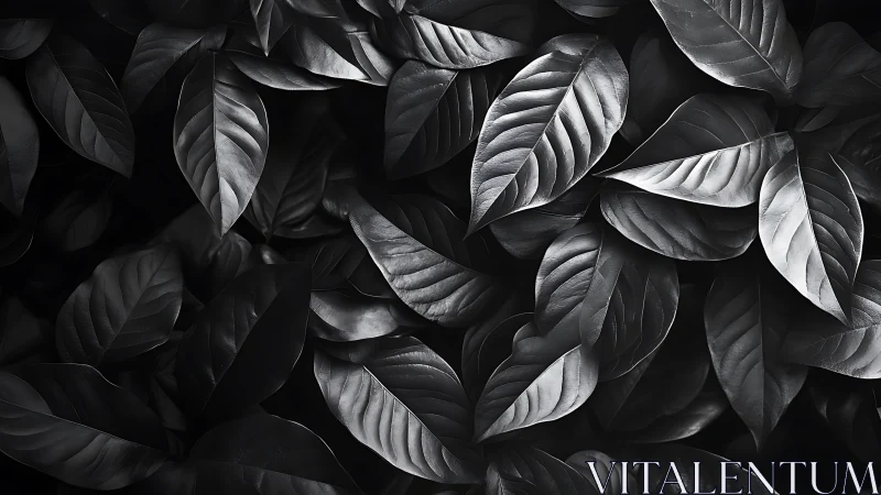Moody monochrome leaves create a calm, gently layered scene