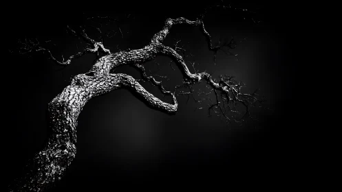 Dramatic black and white photo of twisted tree branches at night.