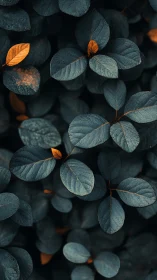 Muted teal foliage glows with scattered copper leaves in shadow