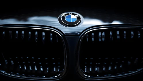 Close-up of BMW Grille and Emblem in Dramatic Lighting.