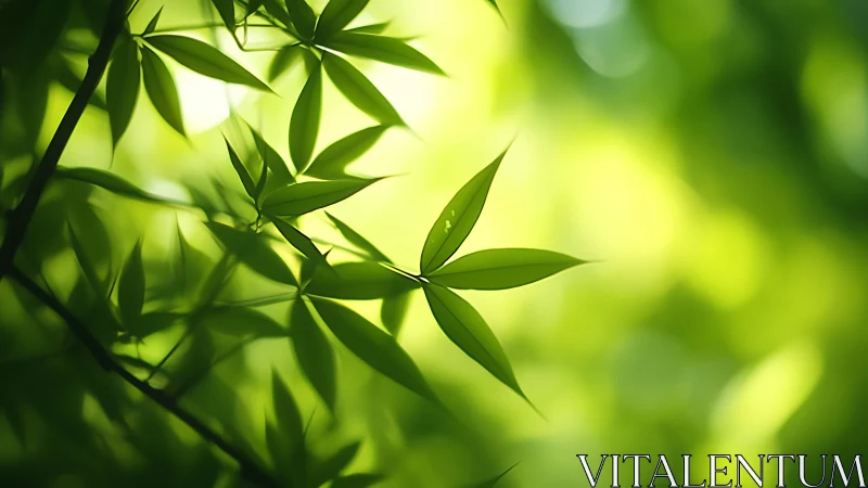 Sunlit green leaves with shallow depth of field focus.