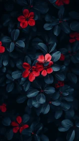 Vivid Red Flowers Against Dark Teal Foliage.