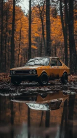 Cinematic autumn forest portrait of vintage yellow car reflection.