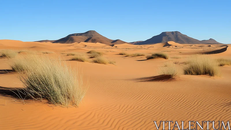 Golden desert dunes roll toward distant rocky mountains