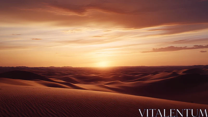Low-sun desert panorama with wind-sculpted dune topography