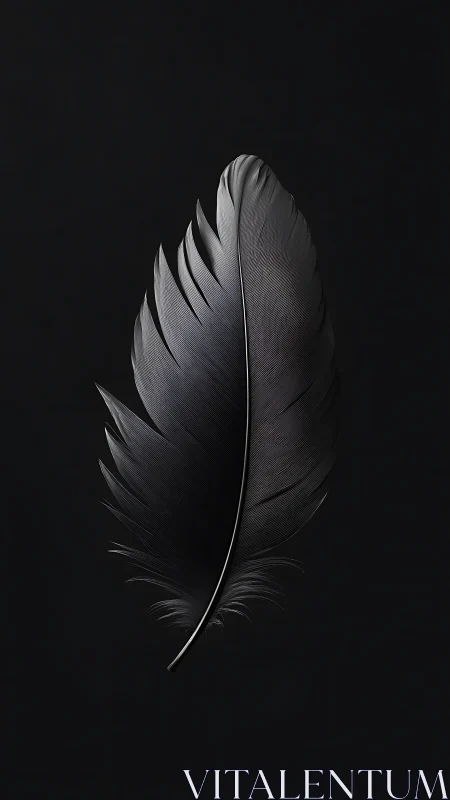 Midnight feather floats in sculpted, velvety darkness.