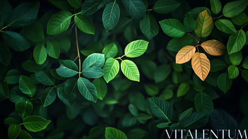 Gentle forest leaves glow softly in shifting green and gold