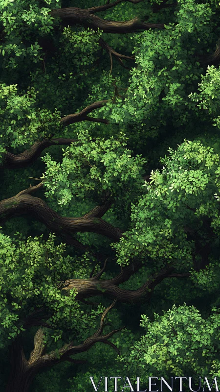 Twisted Branches Through Verdant Canopy.