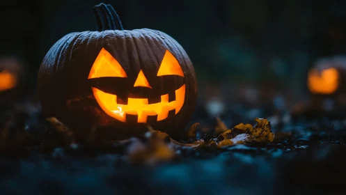 Carved jack-o-lantern on ground with internal candlelight.