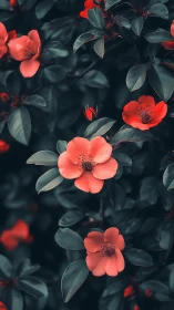 Vibrant Red Blooms Dancing in Moody Garden Light.