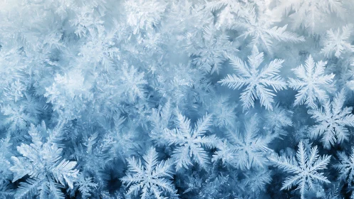 Macro closeup of crystalline snowflakes on icy blue background.