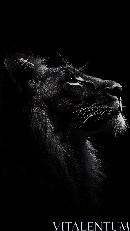 Lion profile in dramatic low key monochrome portrait lighting.