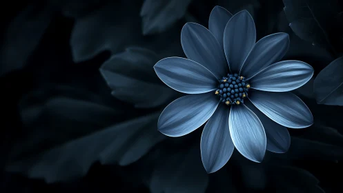 Midnight blue flower glows softly against shadowed foliage