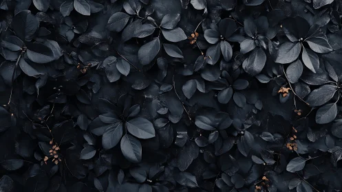 Dark foliage wall with dense black leaves pattern.