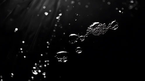 Monochrome macro captures suspended air bubbles in dark water