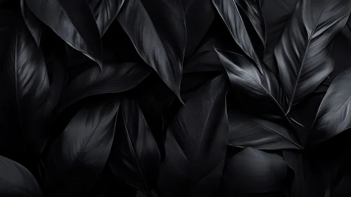 Glossy black tropical leaves form dense abstract pattern