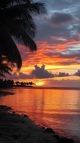 Palm-framed tropical sunset glows over calm reflective sea