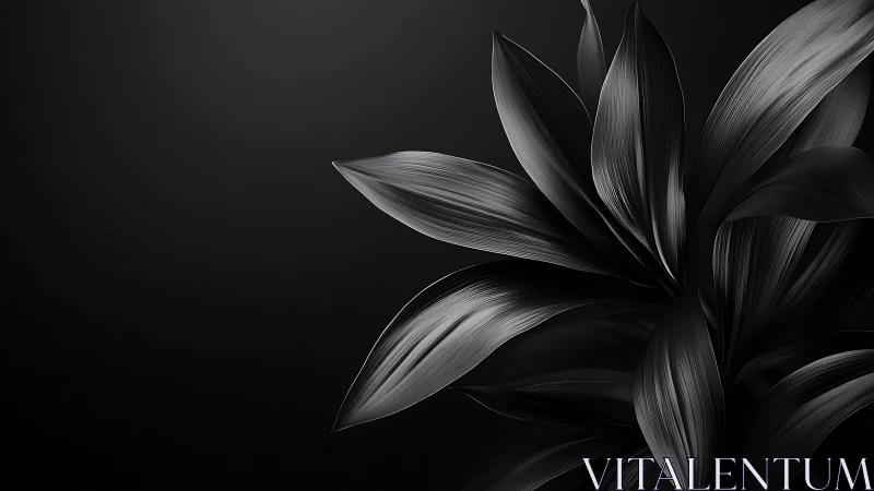 Glossy black leaves curve over deep matte background