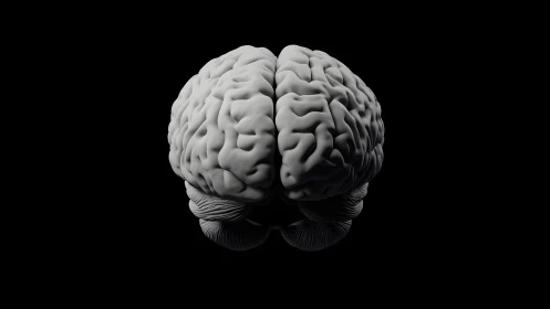 Realistic 3D Human Brain Model on Black Background, Minimalist Style.