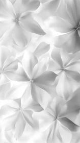 Monochromatic Floral Cluster: Delicate Five-Petal Blooms in High-Key Tonal Range