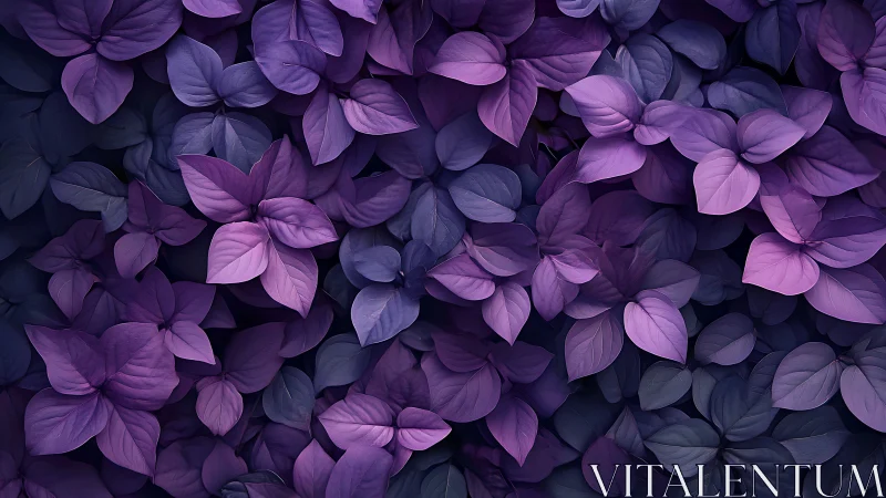 Dense overlapping purple leaves form a uniform surface