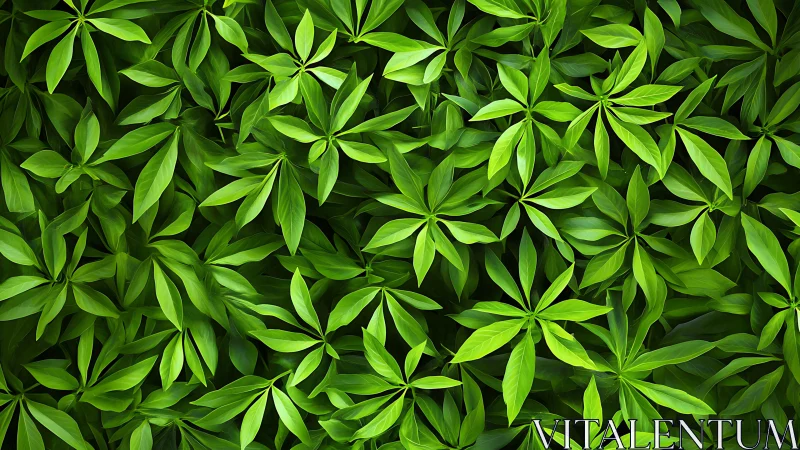 Lush layered leaf canopy in vivid digital realism.