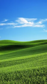 Rolling emerald fields beneath a vivid summer sky.
