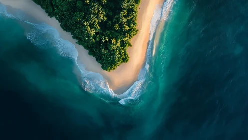 Tropical Paradise: Golden Beach Meets Lush Forest.