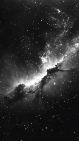 Monochrome deep space field shows dense nebular structure