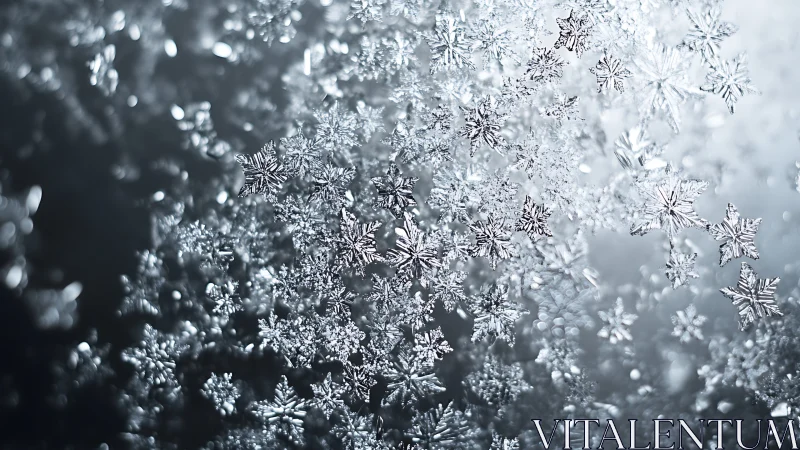 Macro crystalline snowflakes in shallow depth-of-field field study.