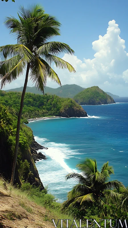 Tropical Coastal Bluff with Coconut Palms and Turquoise Seascape