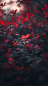 Selective focus crimson foliage with teal shadows at dusk