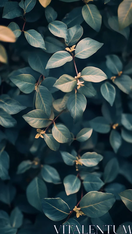 Midnight leaf chorus in teal and gold hush.