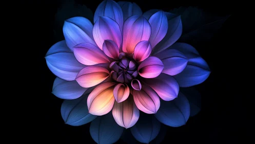 Neon Dahlia Blooms in Impossible Gradients Against Darkness