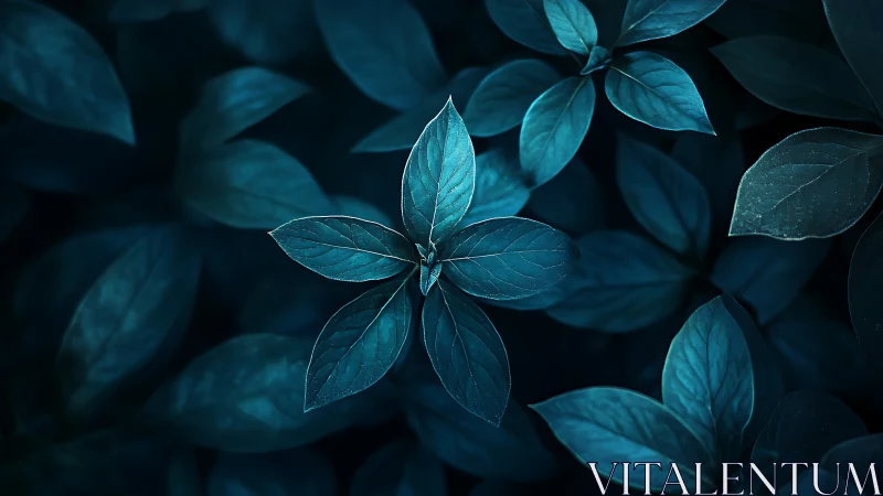 Central leaf cluster stands out in cool blue foliage field