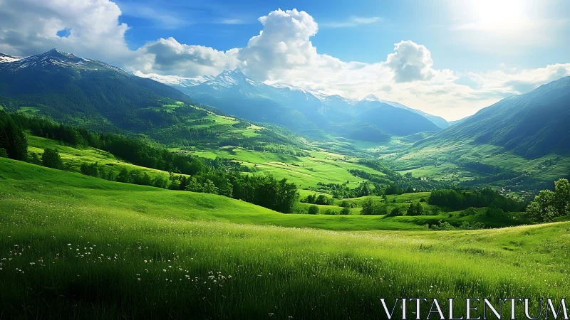 Sunlit green valley unfolds beneath snowcapped mountain range