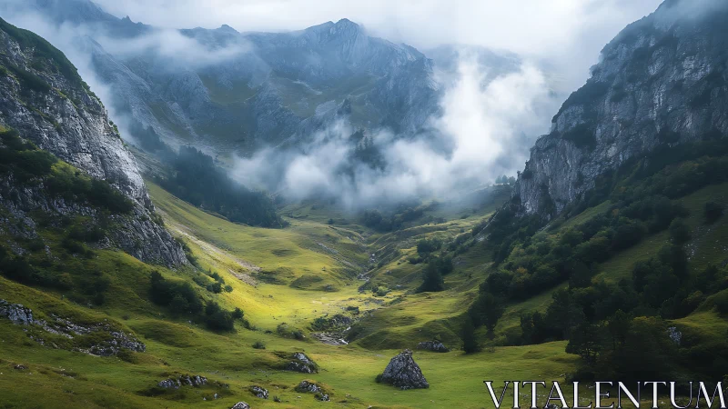 Mountain valley shows green meadows beneath drifting clouds