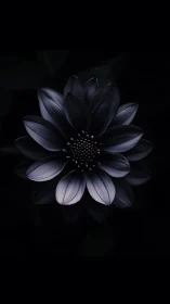 Botanical Study: Dramatic Chiaroscuro Floral Composition.