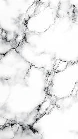 White marble surface shimmers with fine dark veining detail