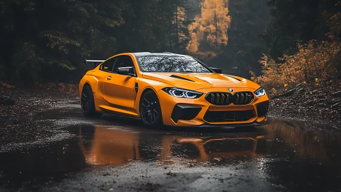 Vivid orange sports coupe reflects in wet forest roadway