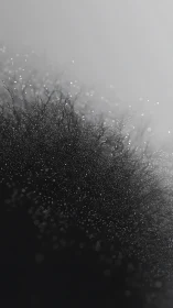 Monochrome particle gradient with dense lower field cluster.