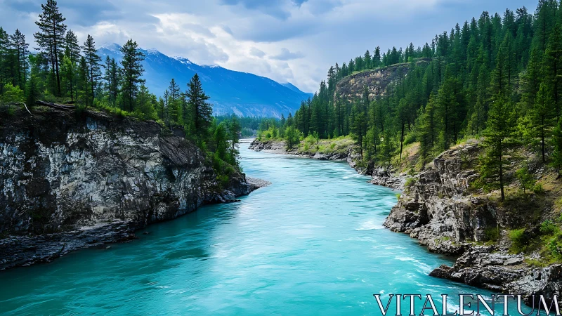 Turquoise river carving pine-clad canyons beneath brooding skies.