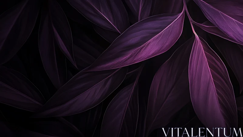 Midnight orchid leaves whisper in velvety violet hush.