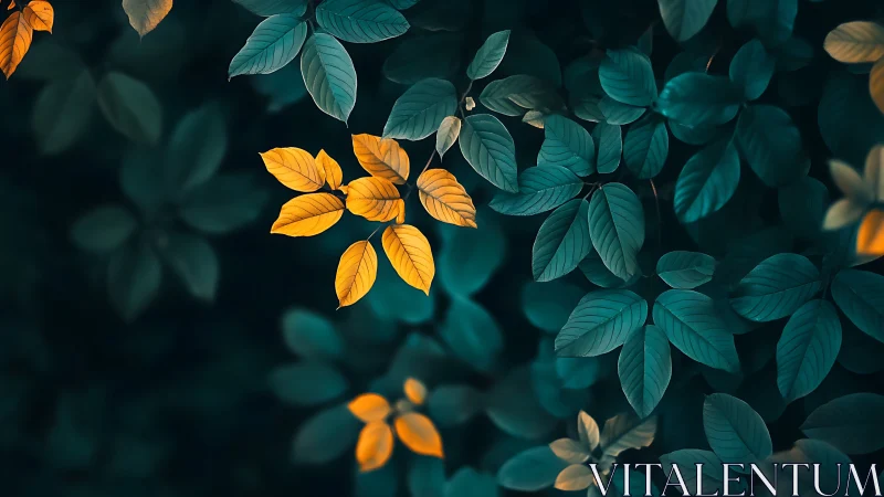 Golden leaves contrast against deep teal forest foliage