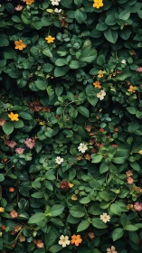 Layered Flower Bed With Yellow and Pink Blooms.