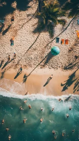 Sunlit beach choreography turns swimmers into tiny constellations