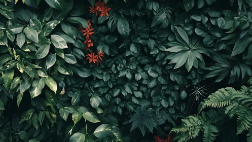 Lush emerald foliage wall with vivid red tropical blooms.