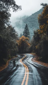 Glistening forest road gently curves into misty autumn hills