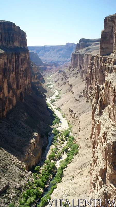 Sheer sandstone canyon walls framing meandering desert river