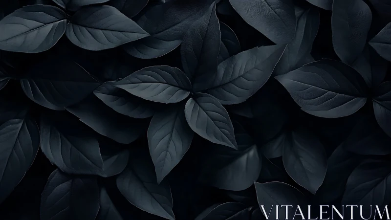 Dark monochrome foliage texture with layered leaves pattern.